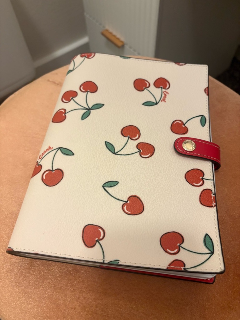 Coach Strawberry + Cherry - Picture 2 of 3